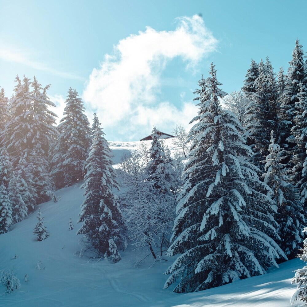 Randonnée de ski hors-piste - Au trou de la Mouche